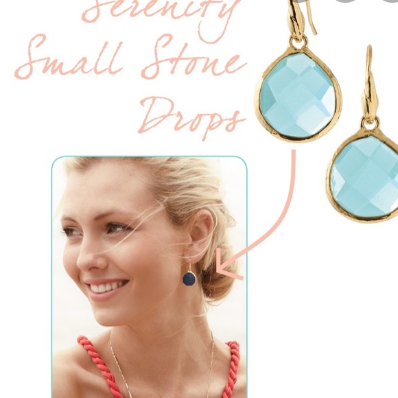 Stella & Dot Jewelry - Stella & Dot Serenity Drop Earrings
